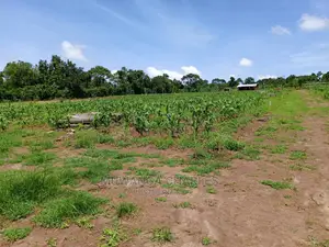 Plots for Sale at Gayaza