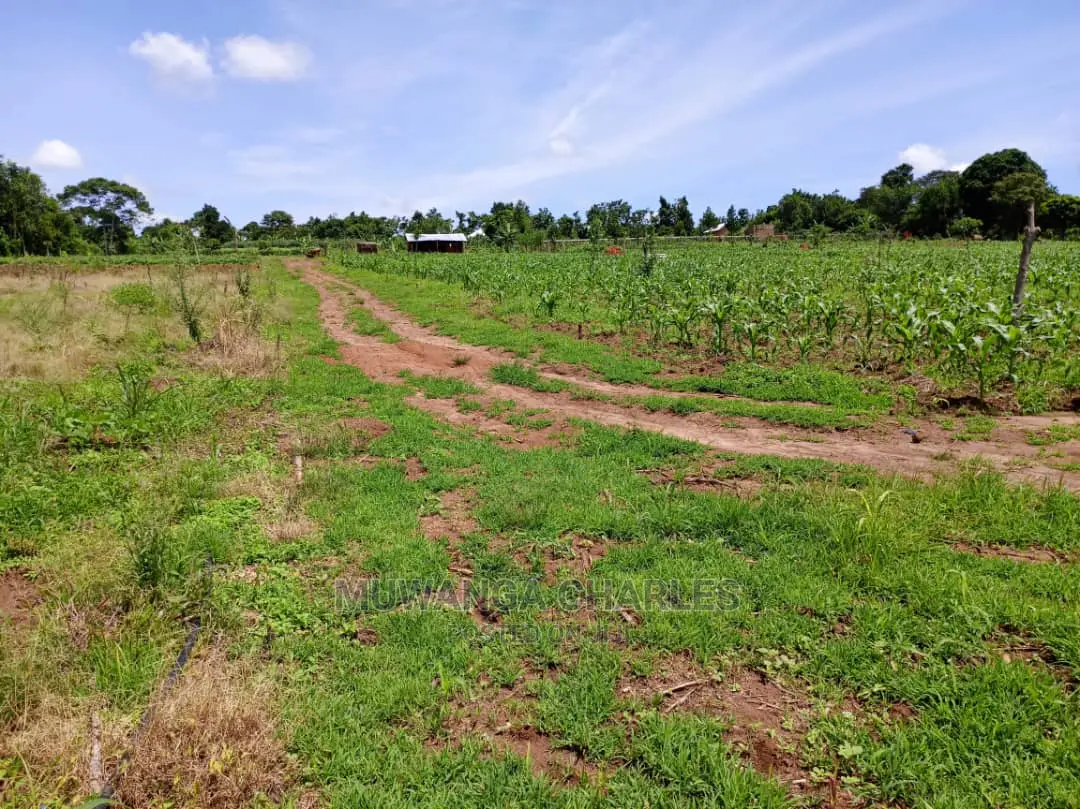 Plots for Sale at Gayaza