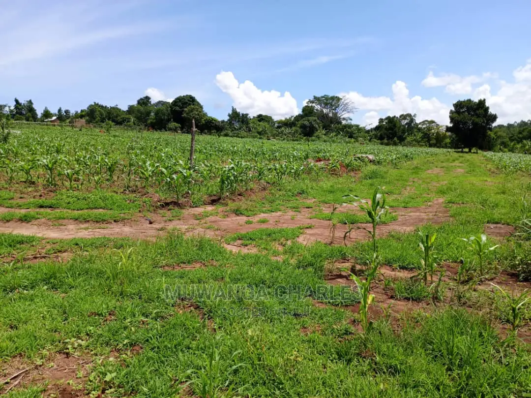 Plots for Sale at Gayaza