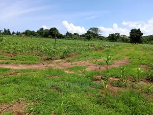 Plots for Sale at Gayaza