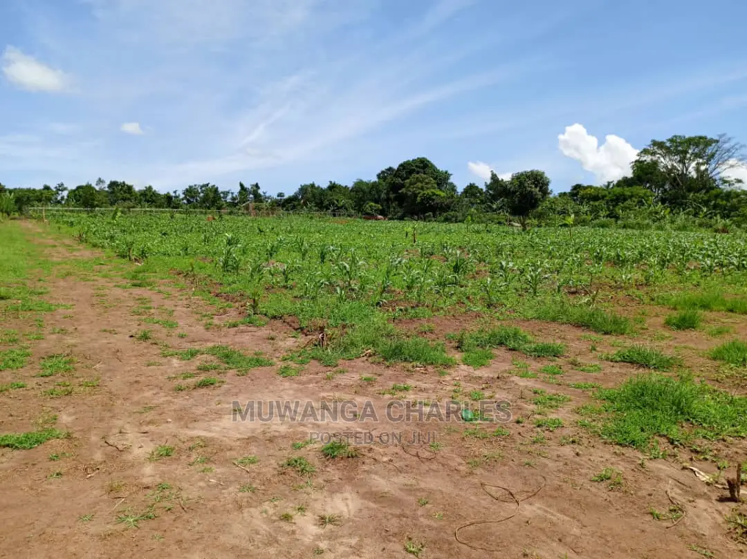 Plots for Sale at Gayaza