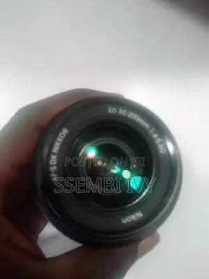 Nikon 55-200mm Professional Lens.