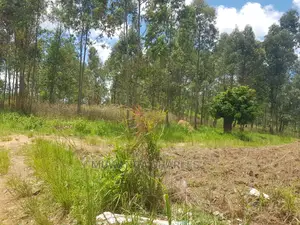 100by50ft Plot for Sale at Gayaza Kiwenda