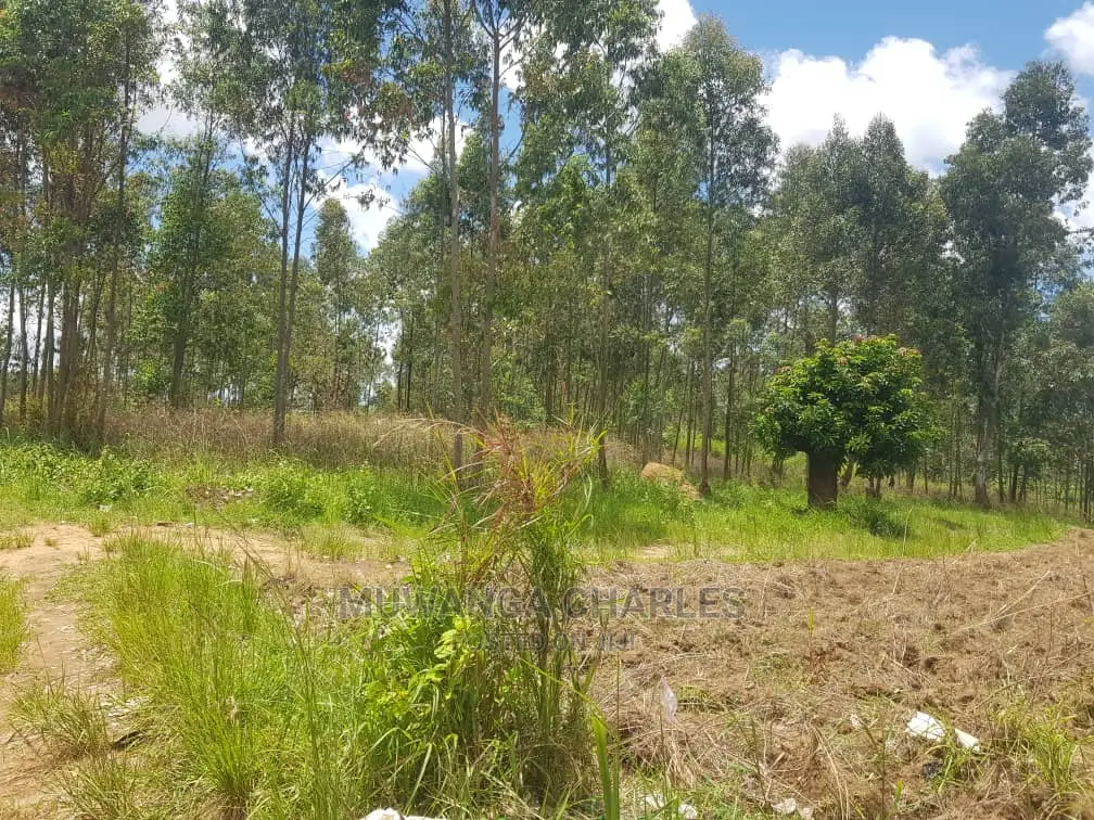 100by50ft Plot for Sale at Gayaza Kiwenda