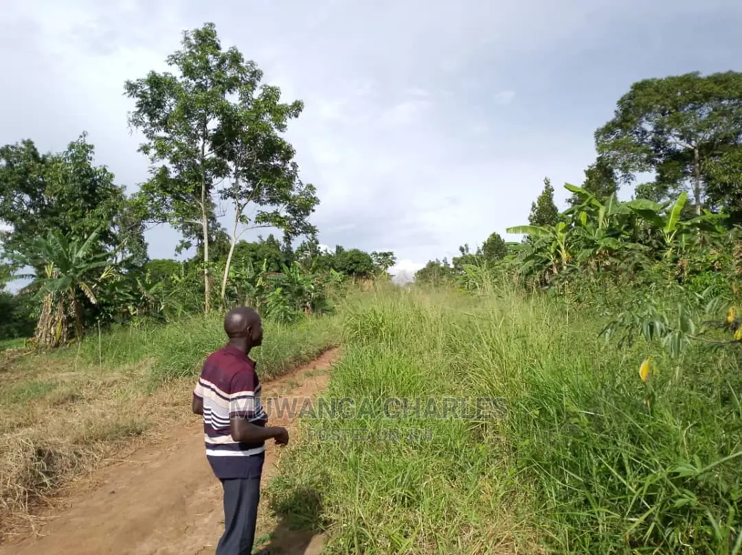 100by50ft Plot for Sale at Gayaza Kiwenda
