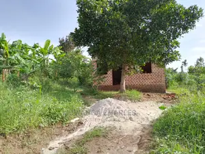 100by50ft Plot for Sale at Kira Kitikifumba