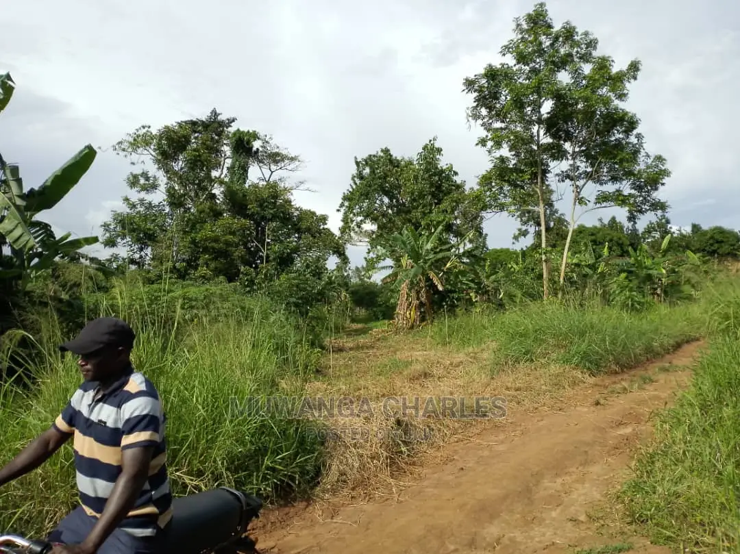 100by50ft Plot for Sale at Kira Kitikifumba