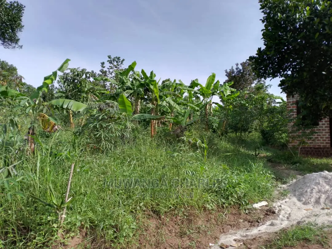 100by50ft Plot for Sale at Kira Kitikifumba