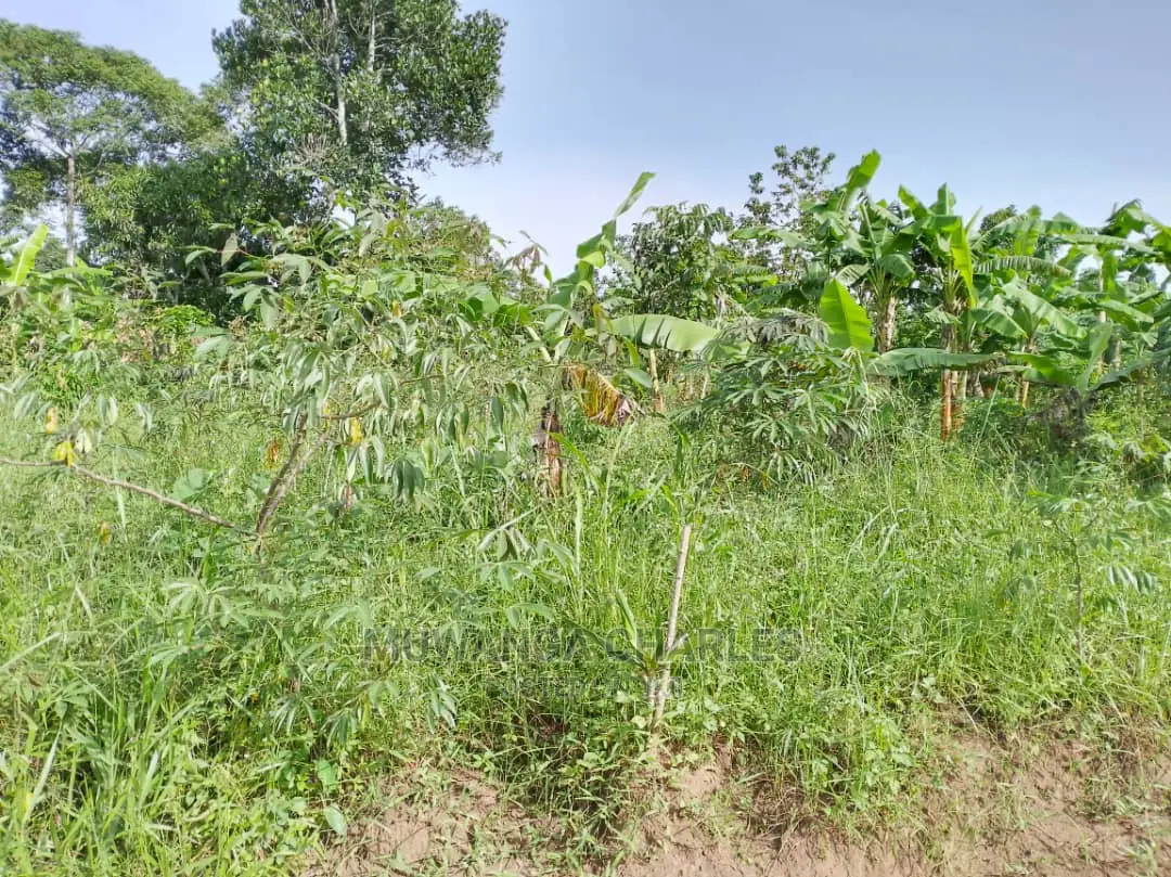 100by50ft Plot for Sale at Kira Kitikifumba
