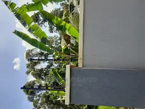 Electric Fence With 6lines High