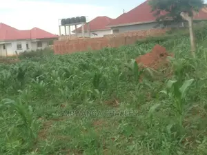 100by100ft Plot for Sale at Kyanja Kungu