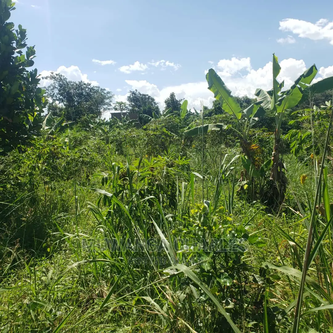 2acres for Sale at Luwero