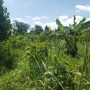 2acres for Sale at Luwero