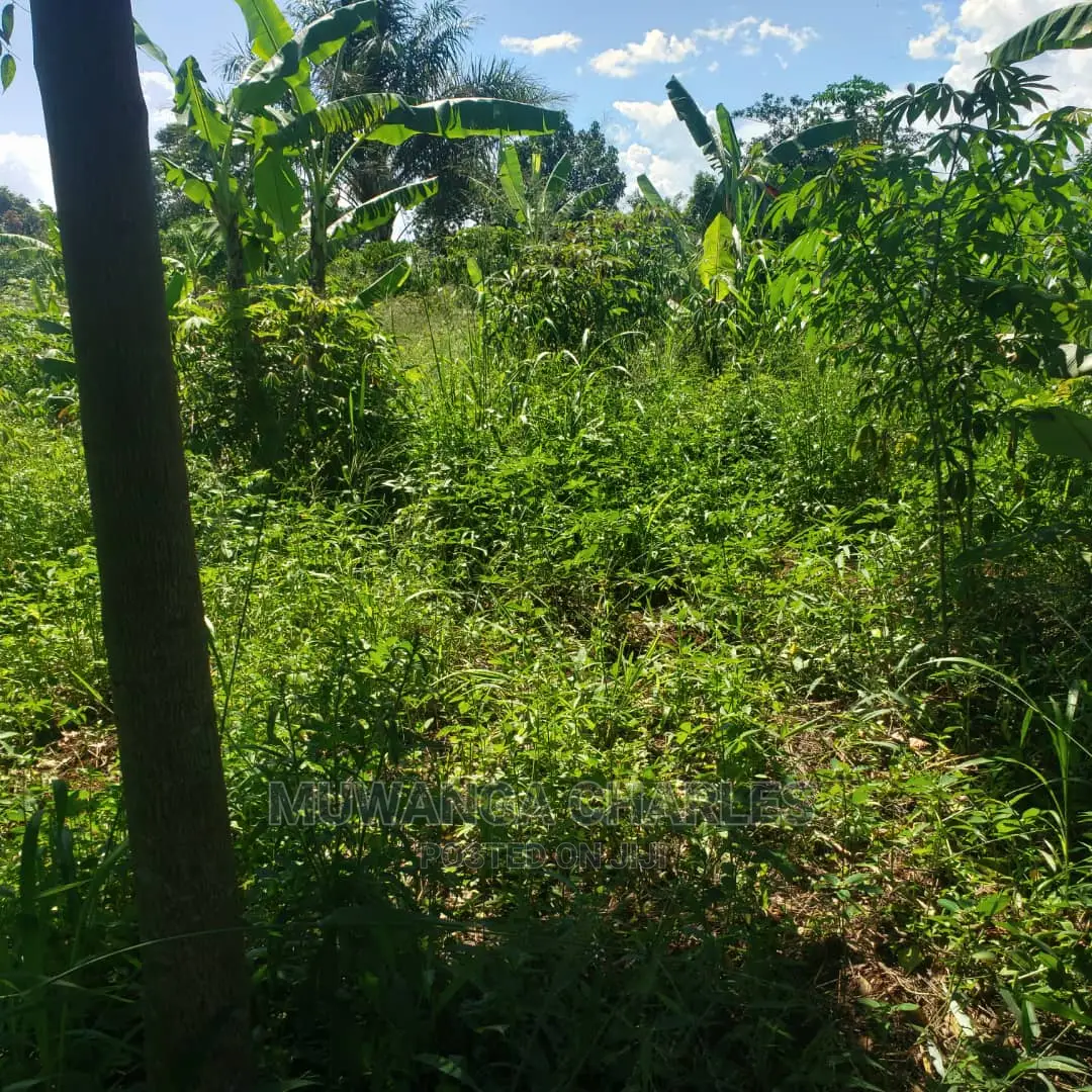 2acres for Sale at Luwero