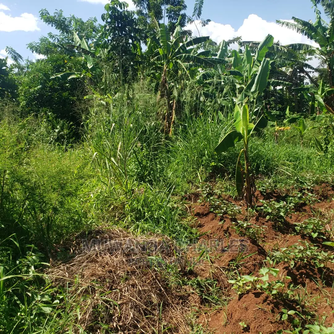 2acres for Sale at Luwero