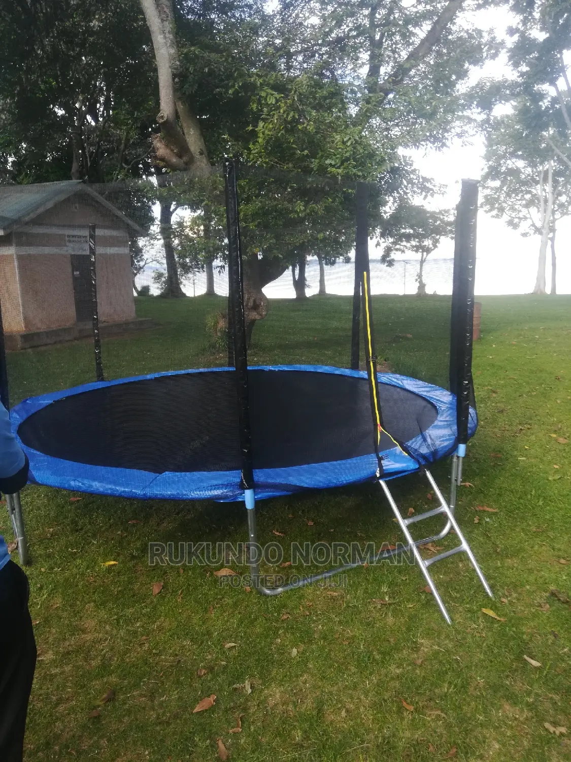 Trampolines Available in All Sizes