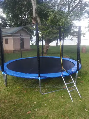 Trampolines Available in All Sizes