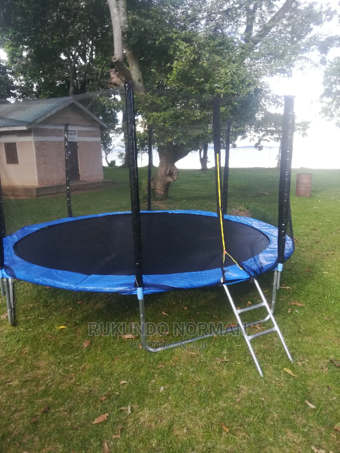 Trampolines Available in All Sizes