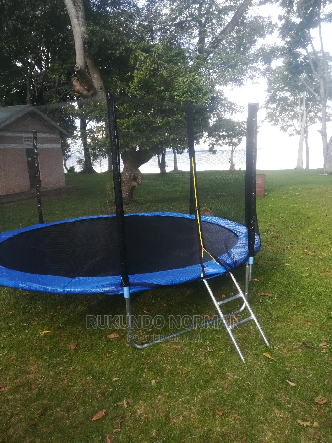 Trampolines Available in All Sizes