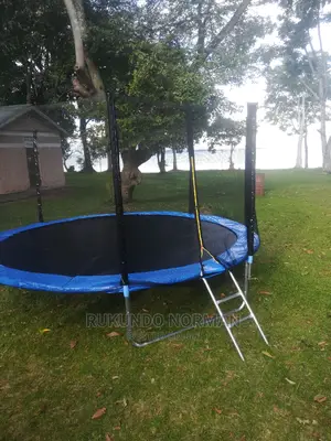 Trampolines Available in All Sizes