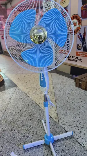 Evernal Stand Fan