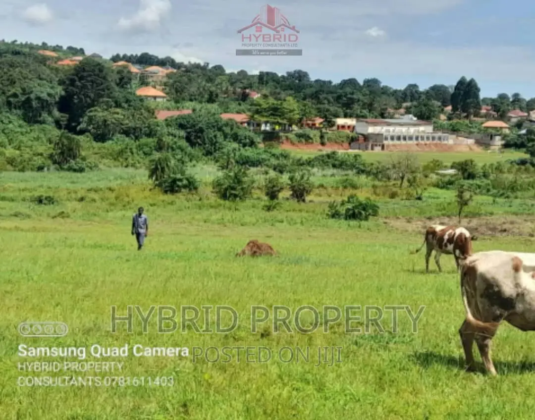 Prime Plots for Sale at Our Nkoowe~Mubango [Wakiso]~Hoima Rd