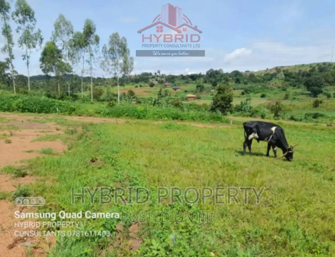 Prime Plots for Sale at Our Nkoowe~Mubango [Wakiso]~Hoima Rd