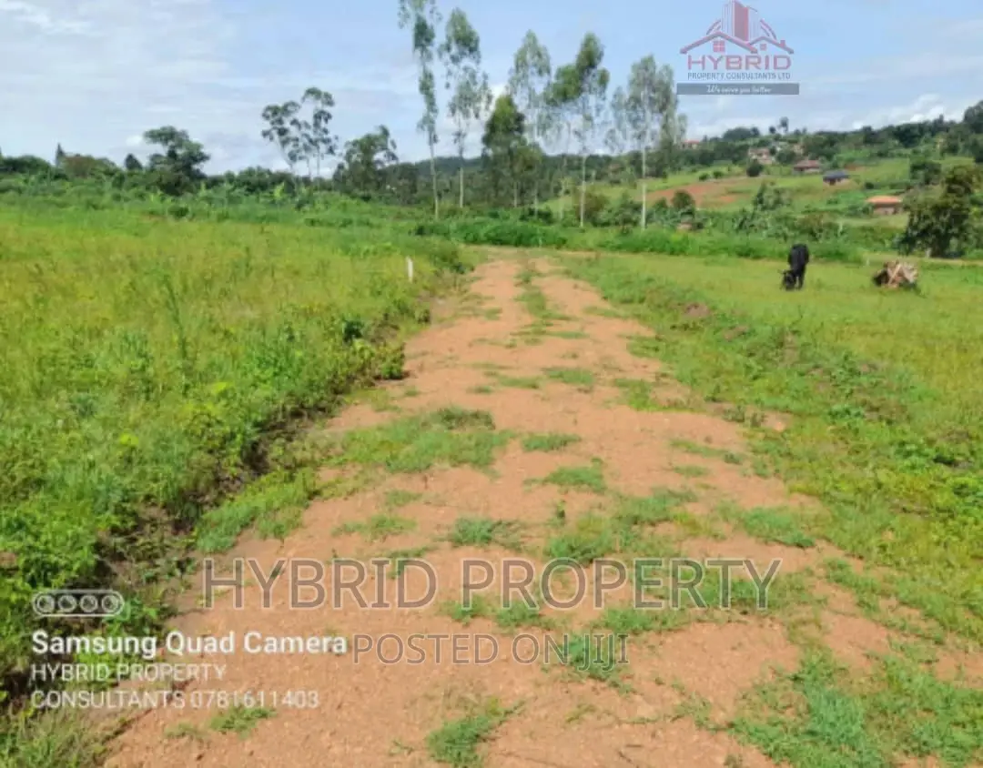 Prime Plots for Sale at Our Nkoowe~Mubango [Wakiso]~Hoima Rd