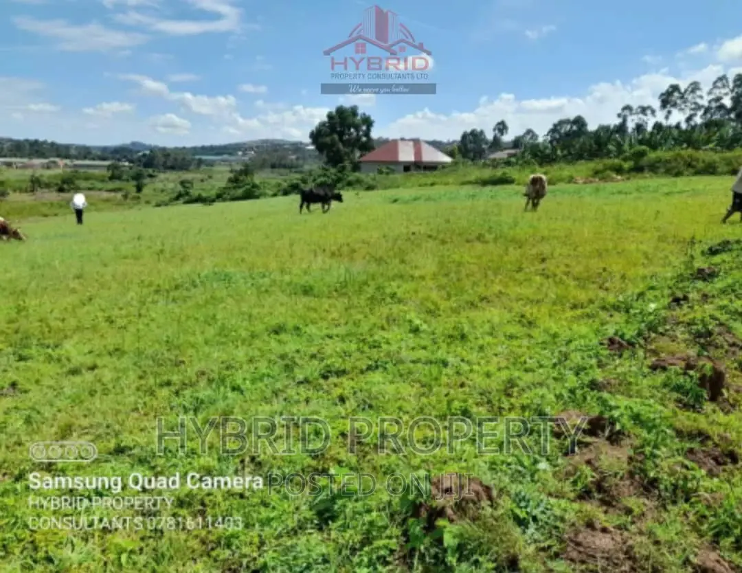 Prime Plots for Sale at Our Nkoowe~Mubango [Wakiso]~Hoima Rd