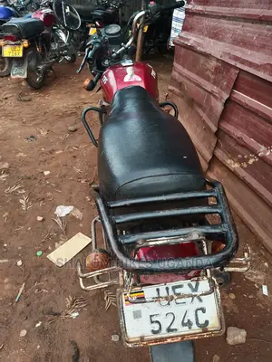 TVS HLX 125 2019 Gold