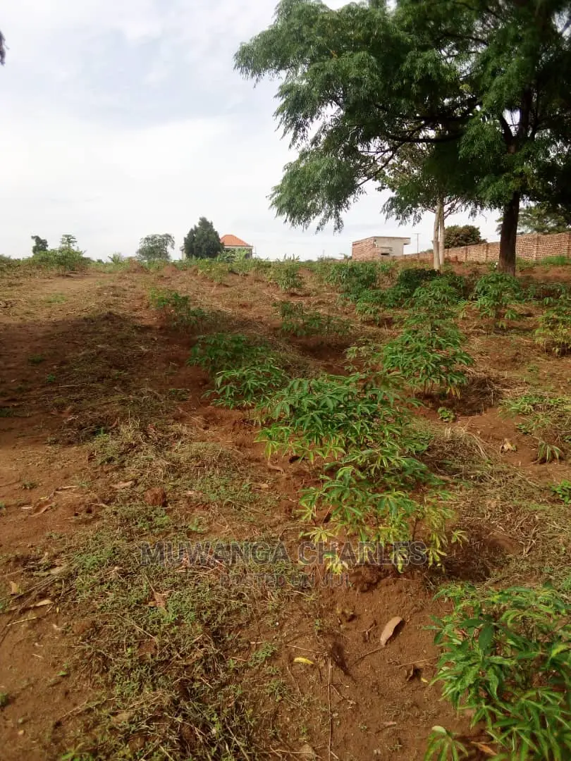 100by100ft Plot for Sale at Gayaza Nakwero