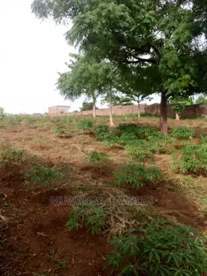 100by100ft Plot for Sale at Gayaza Nakwero