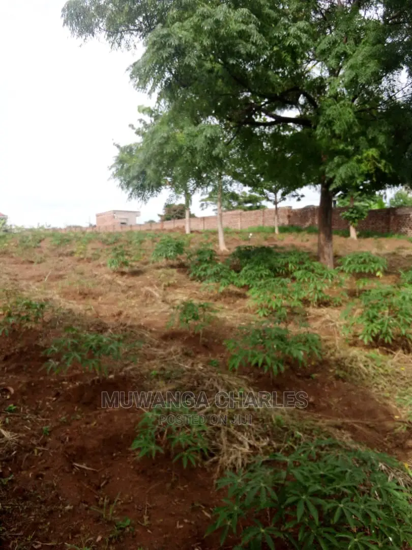 100by100ft Plot for Sale at Gayaza Nakwero