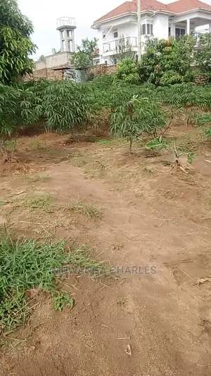 100by100ft Plot for Sale at Gayaza Nakwero