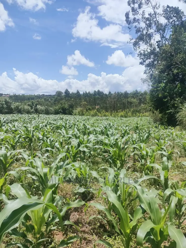 3acres of Land for Sale at Zirobwe