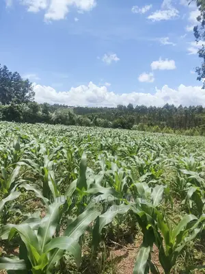 3acres of Land for Sale at Zirobwe