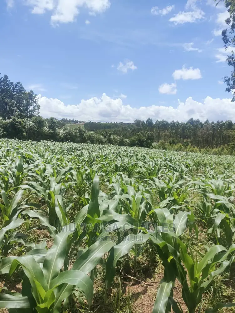 3acres of Land for Sale at Zirobwe