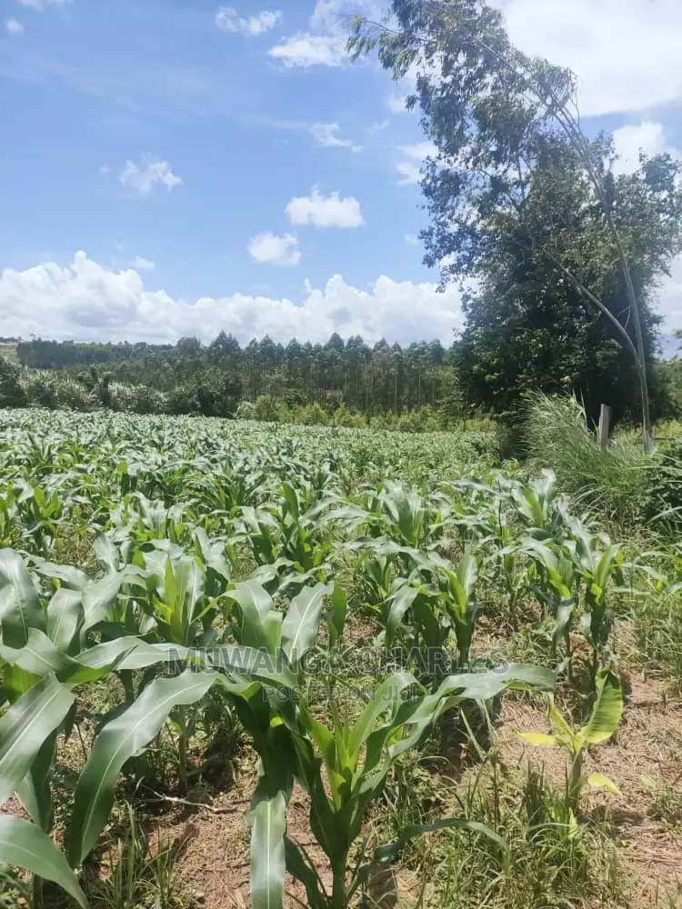 3acres of Land for Sale at Zirobwe