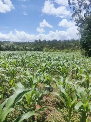 3acres of Land for Sale at Zirobwe
