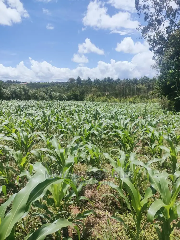 3acres of Land for Sale at Zirobwe