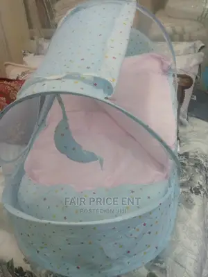 Executive Baby Mosquito Net ( Blue)