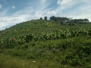 5acres of Land for Sale at Zirobwe Namawoja