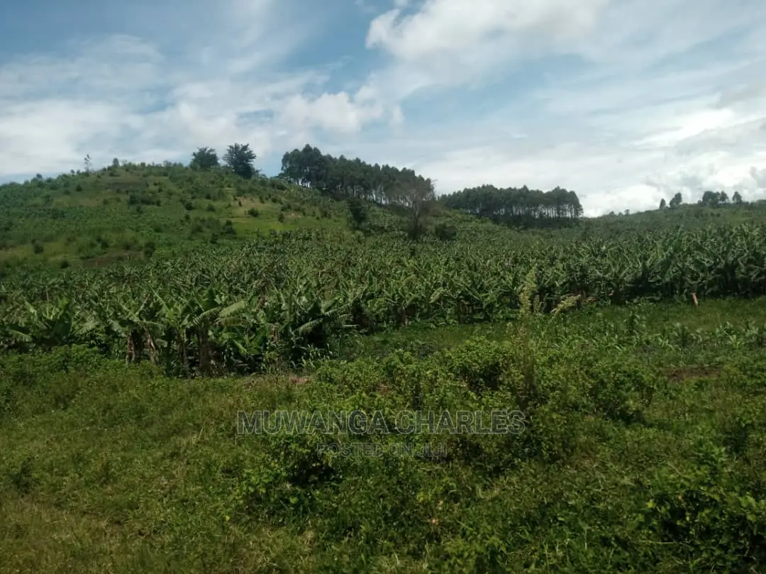 5acres of Land for Sale at Zirobwe Namawoja