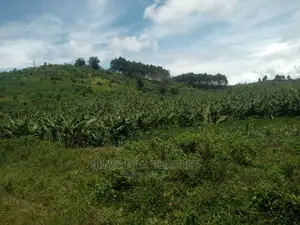 5acres of Land for Sale at Zirobwe Namawoja