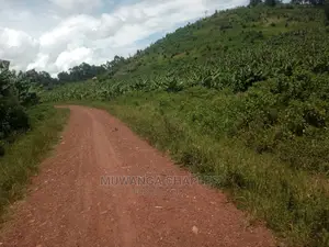 5acres of Land for Sale at Zirobwe Namawoja