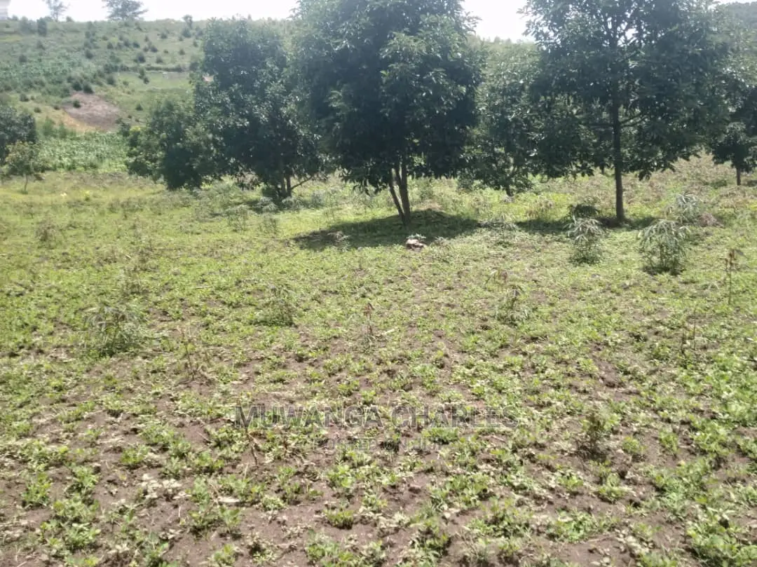 5acres of Land for Sale at Zirobwe Namawoja