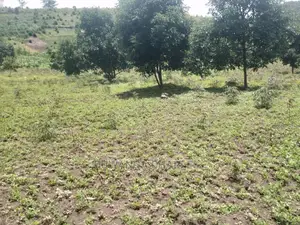 5acres of Land for Sale at Zirobwe Namawoja