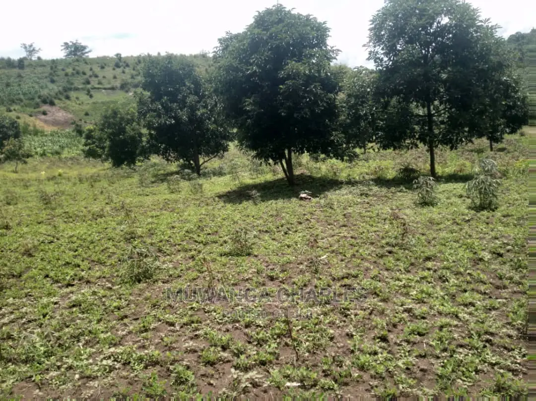 5acres of Land for Sale at Zirobwe Namawoja