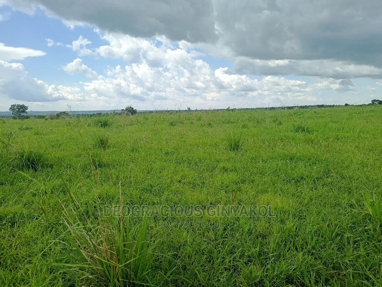 Farmland for Sale in Uganda 6000acres