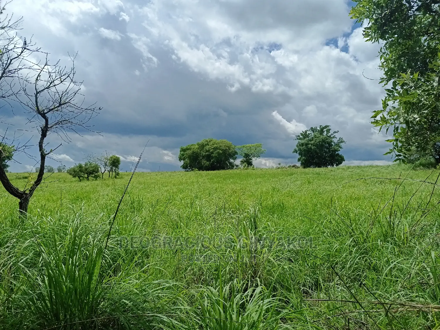 Farmland for Sale in Uganda 6000acres